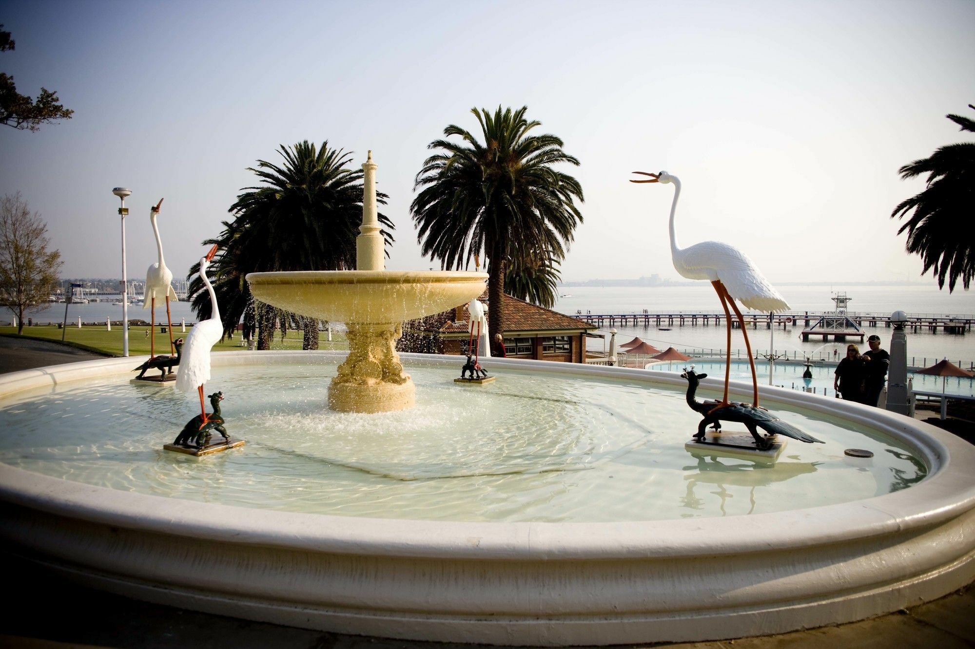 Hotel Rydges Geelong Exterior foto